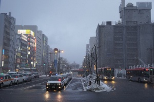 夜になって吹雪いてきた。